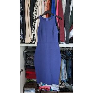 Banana Republic Purple A-Line Darted Dress 0